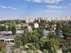 Baba Novac